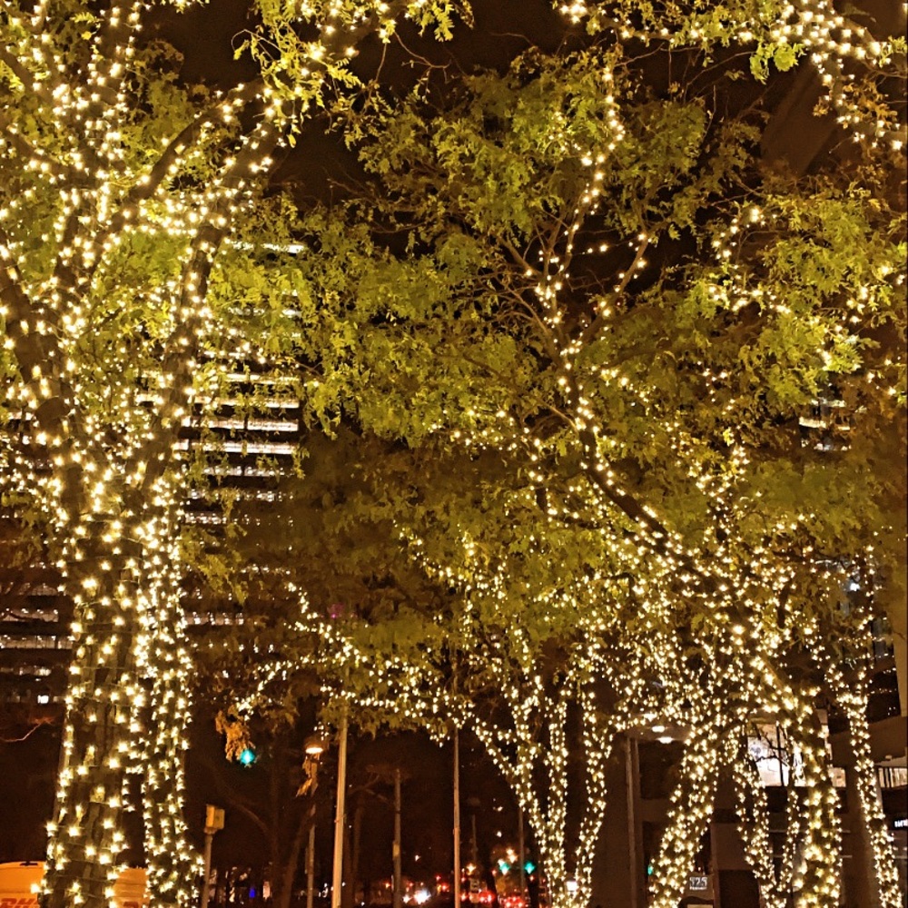 Meet your Posher, Li